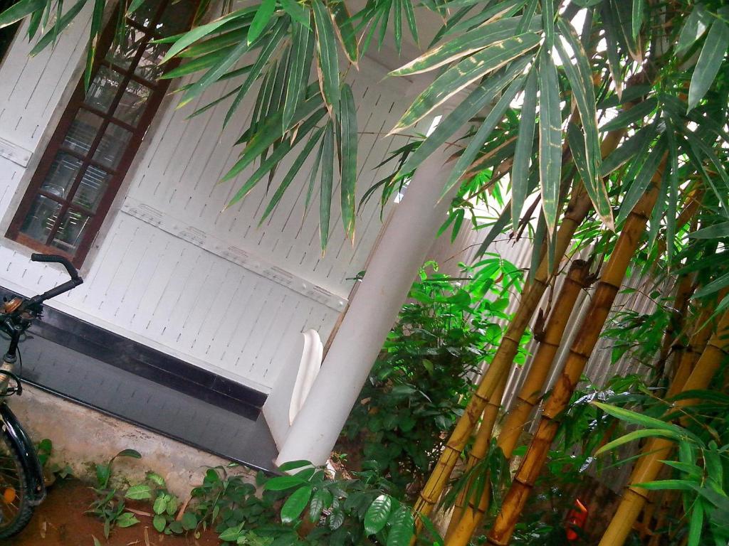 Adams Wood House Ayurveda Homestay Kochi Exterior foto