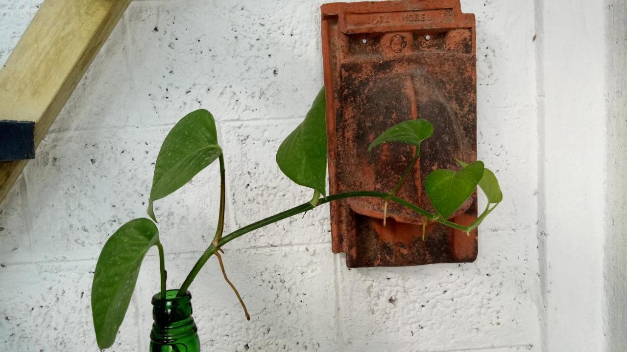 Adams Wood House Ayurveda Homestay Kochi Exterior foto